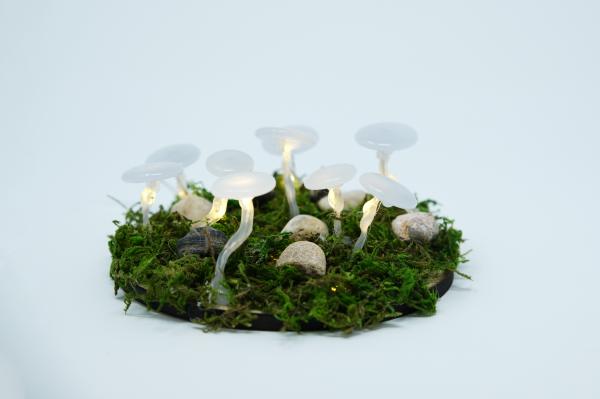 Image for event: Glowing Mushrooms - RO