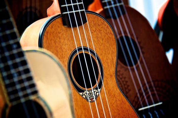 Image for event: Learn to Play the Ukulele or Guitar 
