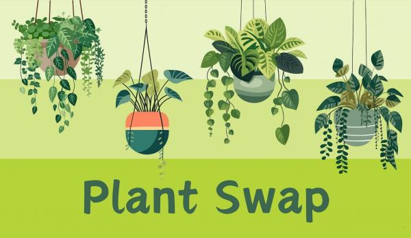 Image for event: House Plant Swap - RO