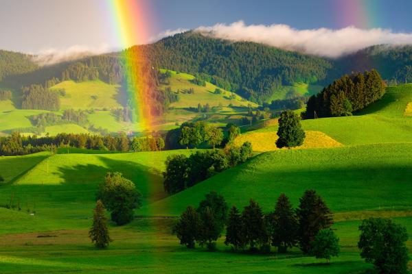 Image for event: Chase the Rainbow Virtual Escape Room NR 